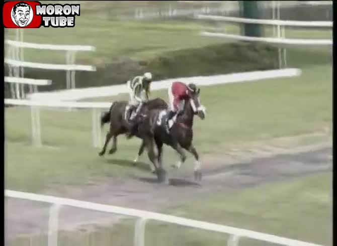 Video :All heck broke loose during this horse race!